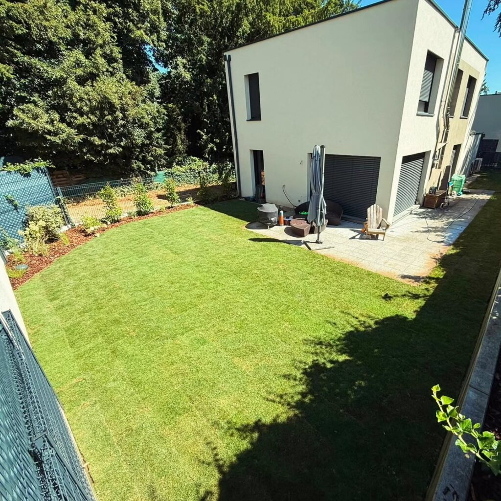 Jardin terminé avec gazon en rouleau dense et uniforme